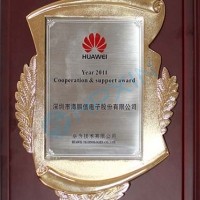 The company was awarded the 2011 \